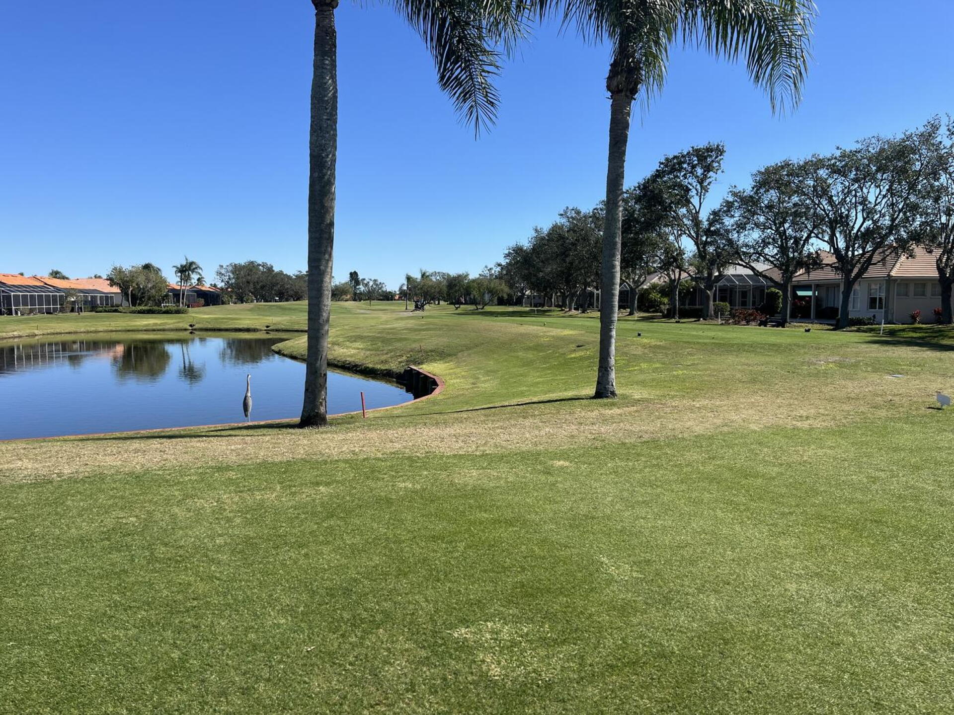 3rd Tee (Photo submitted by h4A2PlAwkpd6LqIAWkXe on 01/12/2025)