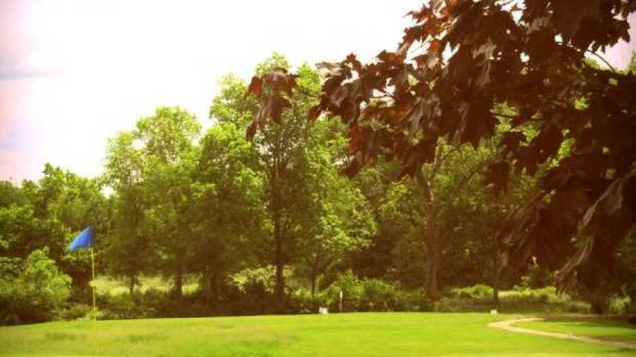 Wedgewood GC - Maple: #4