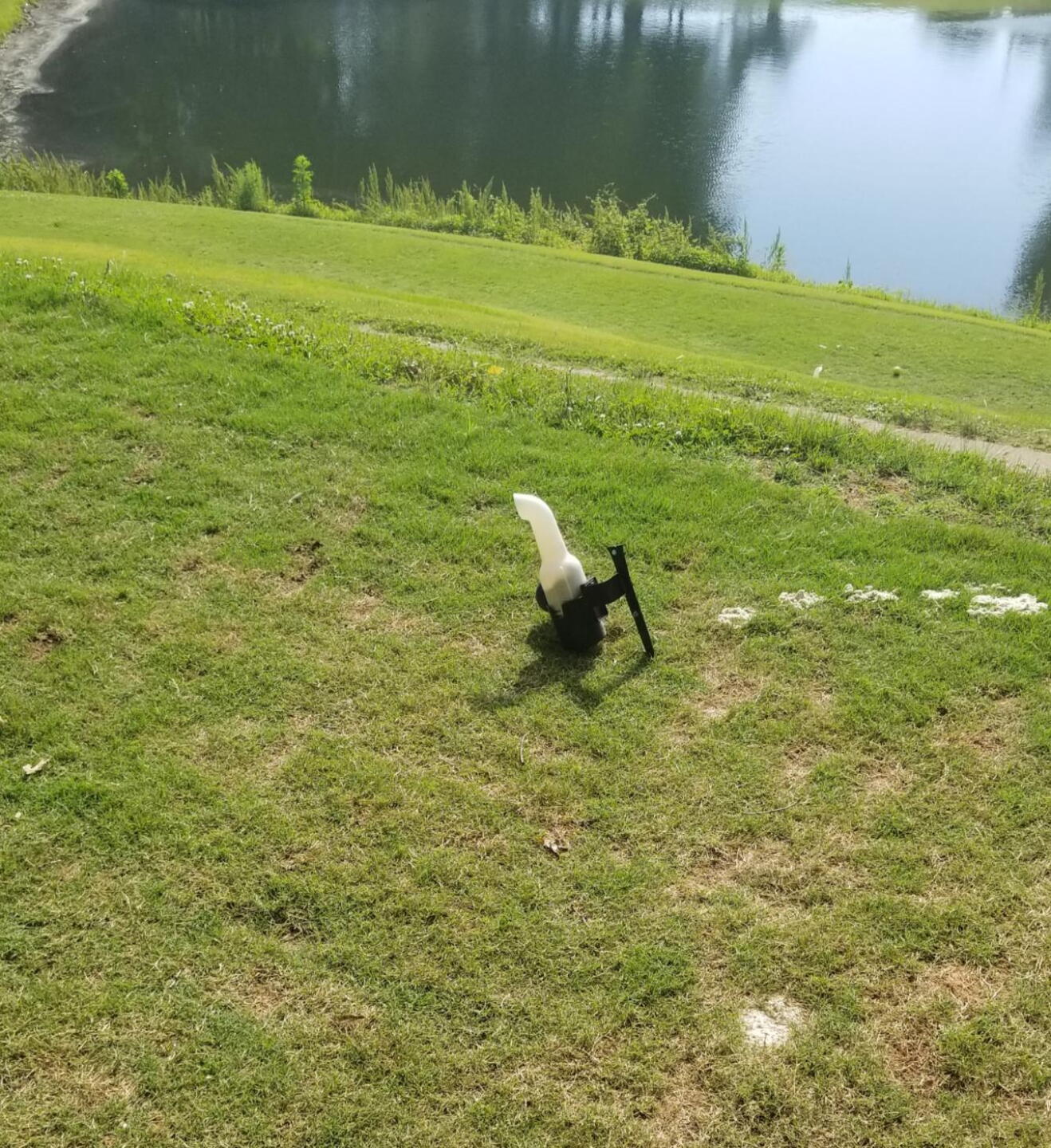 No grass tee box (Photo submitted by ShortKnocker1 on 05/27/2019)