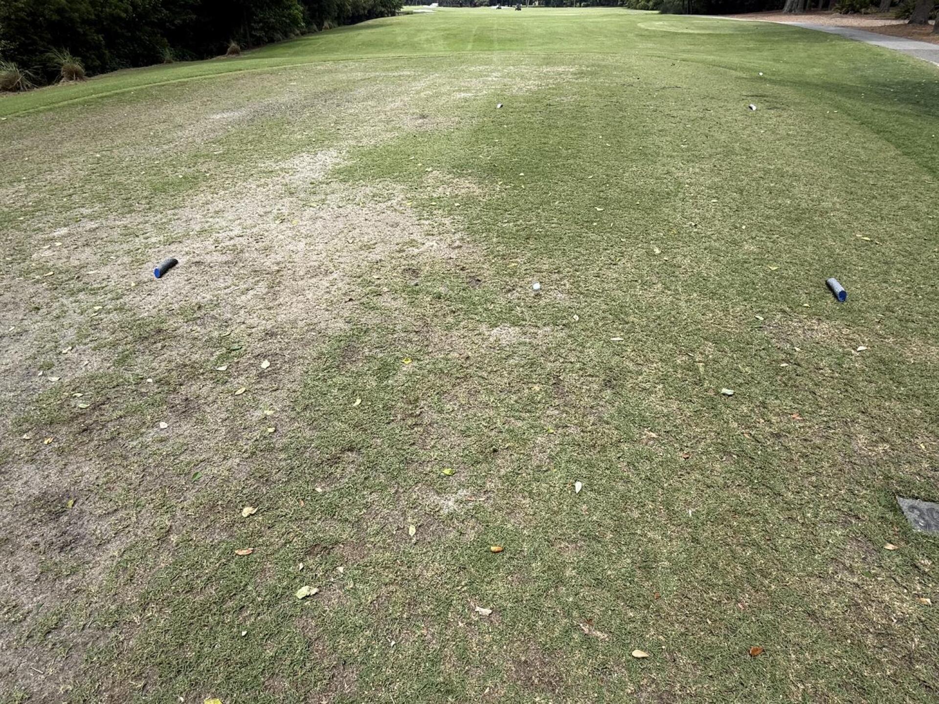 (Photo submitted by u000004619964 on 06/03/2025)