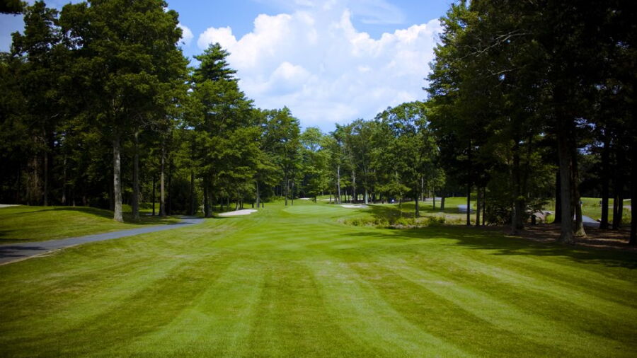 The Back Nine Club