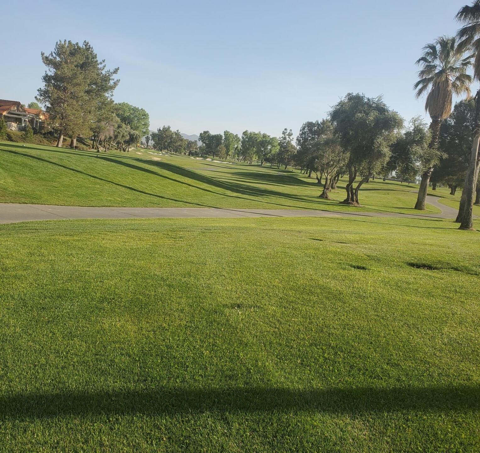 Headed to the 19th hole! (Photo submitted by u000003116173 on 02/26/2022)