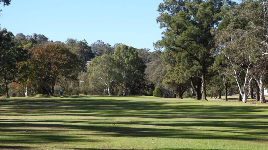 Muswellbrook GC