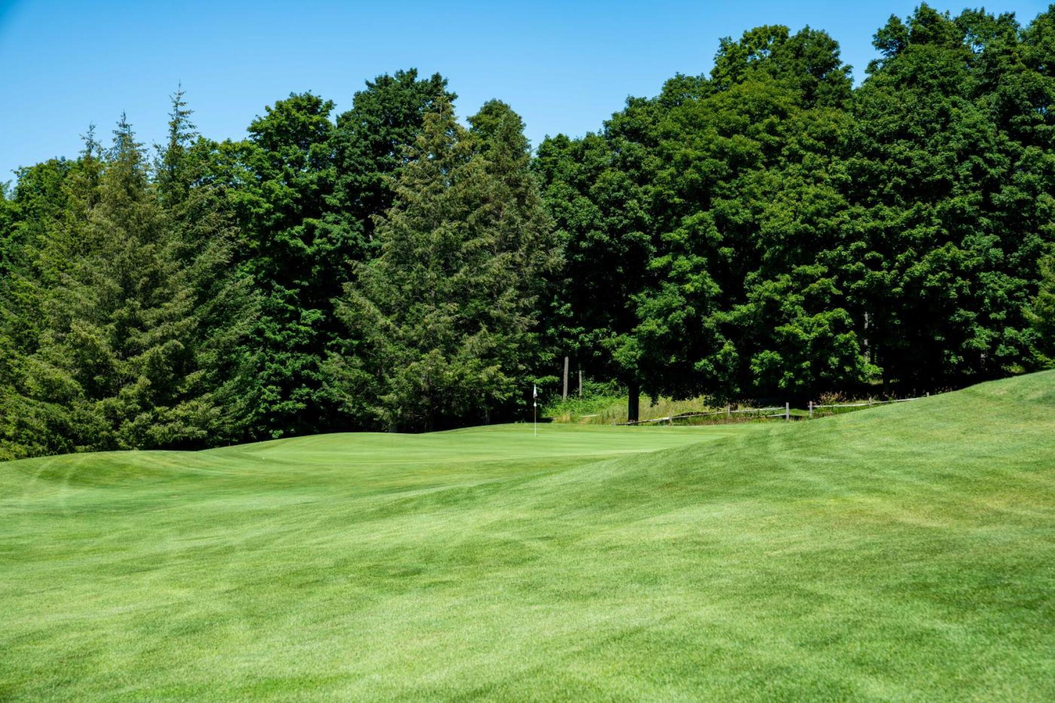 (Photo submitted by noahjurik on 08/05/2019)