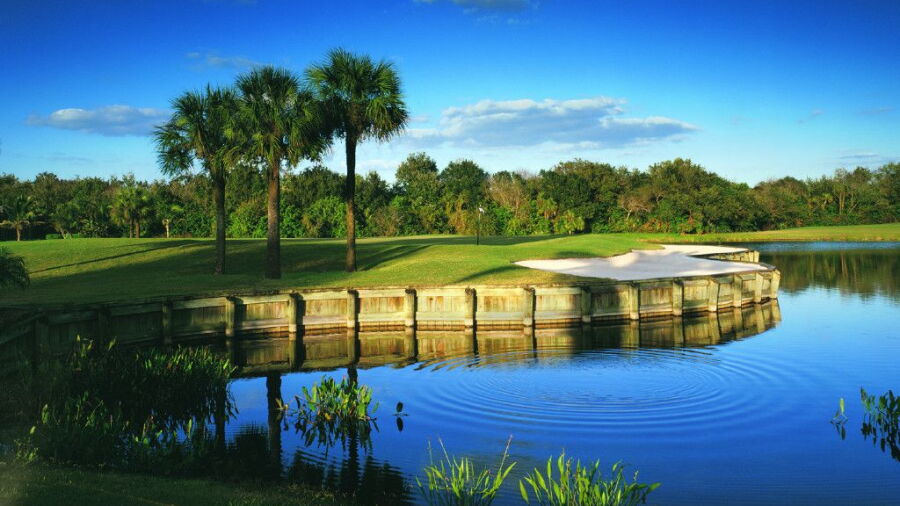 Plantation GCC - The Panther: #15