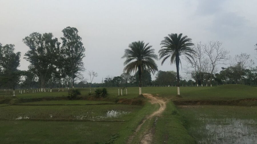 Seleng District Club