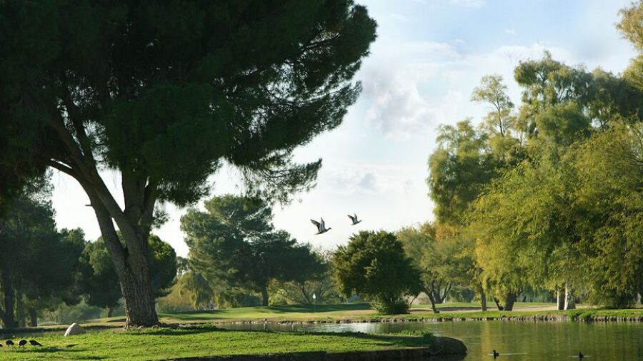 Paradise Valley GC