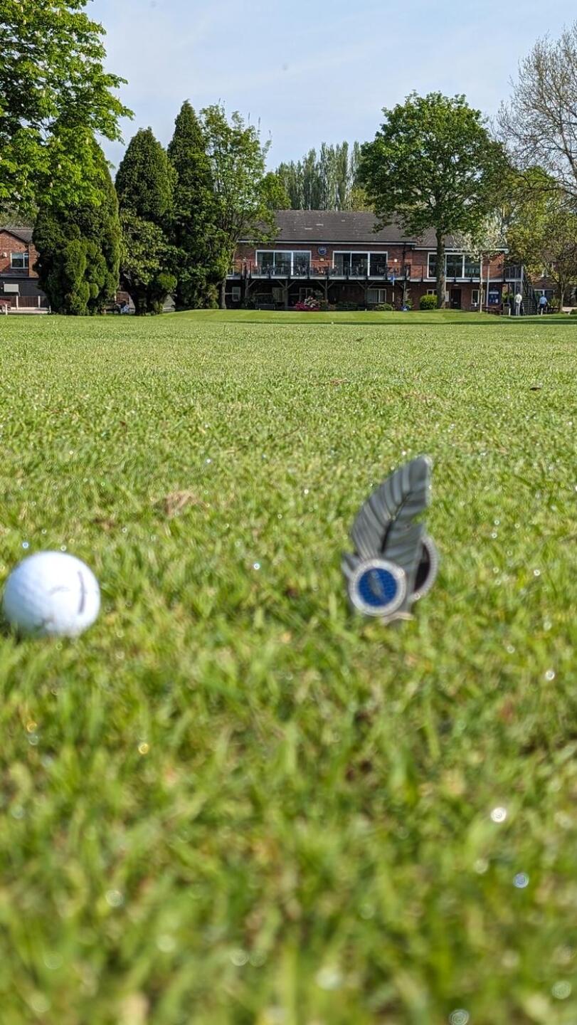 (Photo submitted by JKY95Fq7ztDPK0kI2HBl on 05/11/2024)