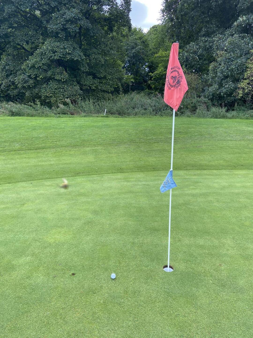 Nearly… (Photo submitted by Marshyg on 09/15/2022)