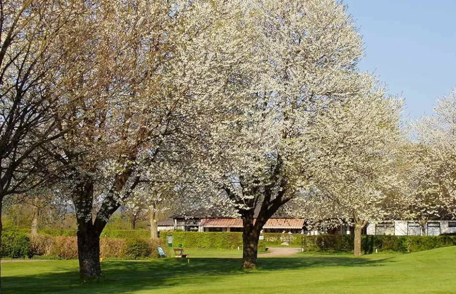 Freiburger GC: clubhouse