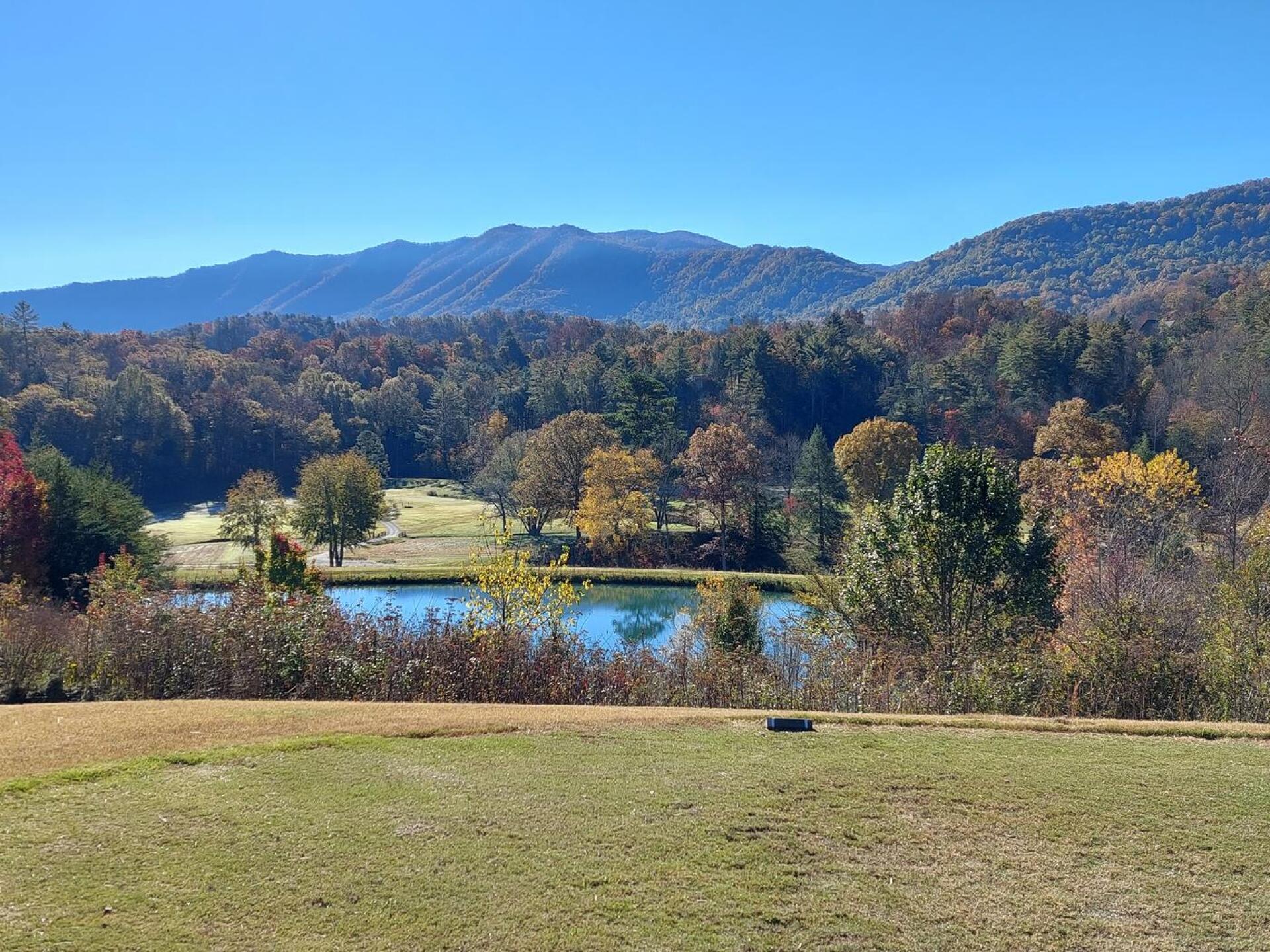 (Photo submitted by upXpnOAI4awBzJHS0tnL on 11/08/2021)