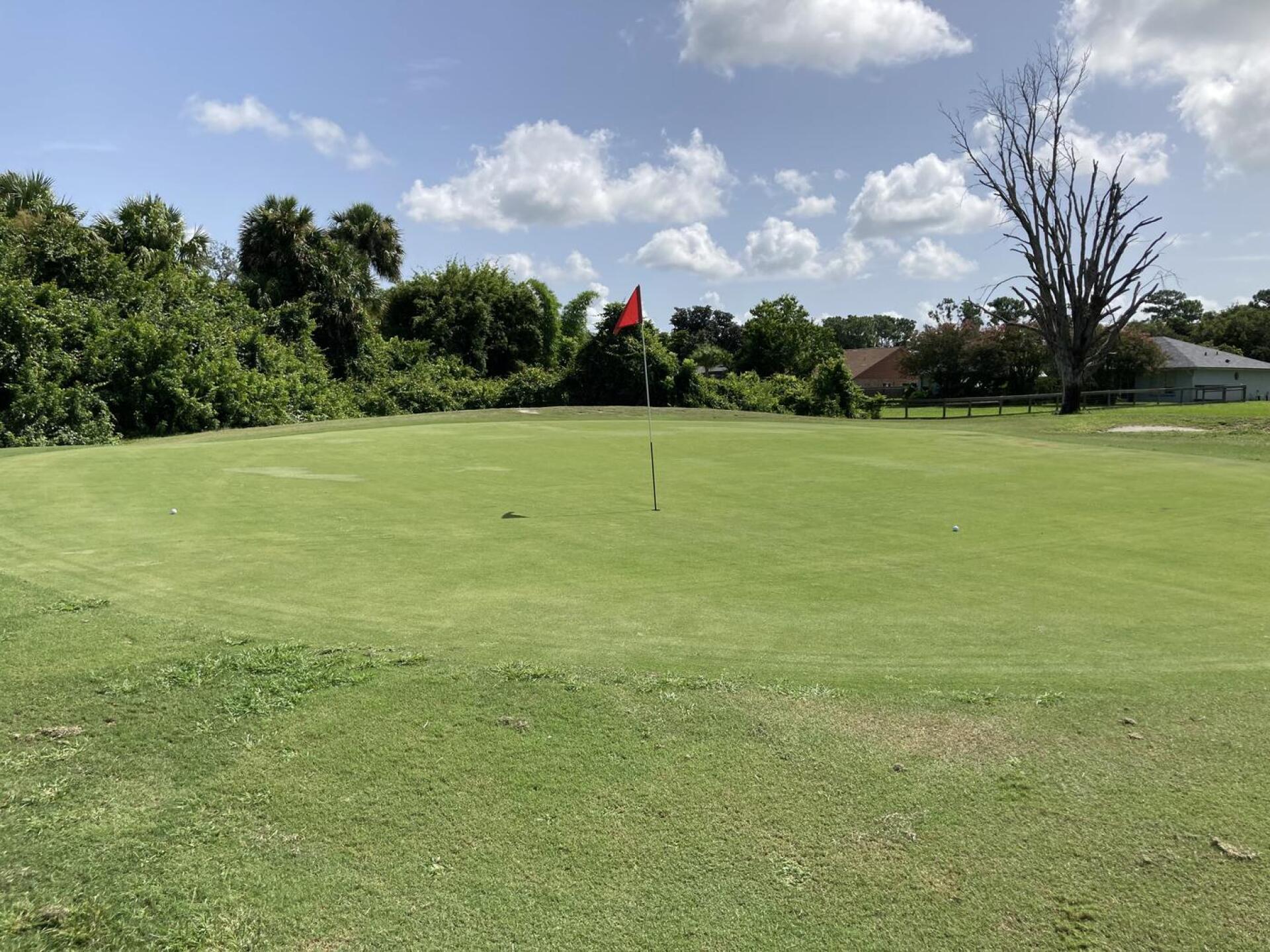 (Photo submitted by VanSLIce28 on 07/23/2024)