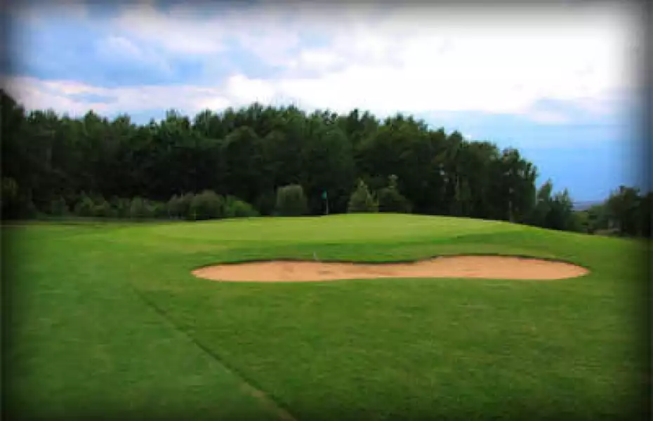 Zwickau GC: #4