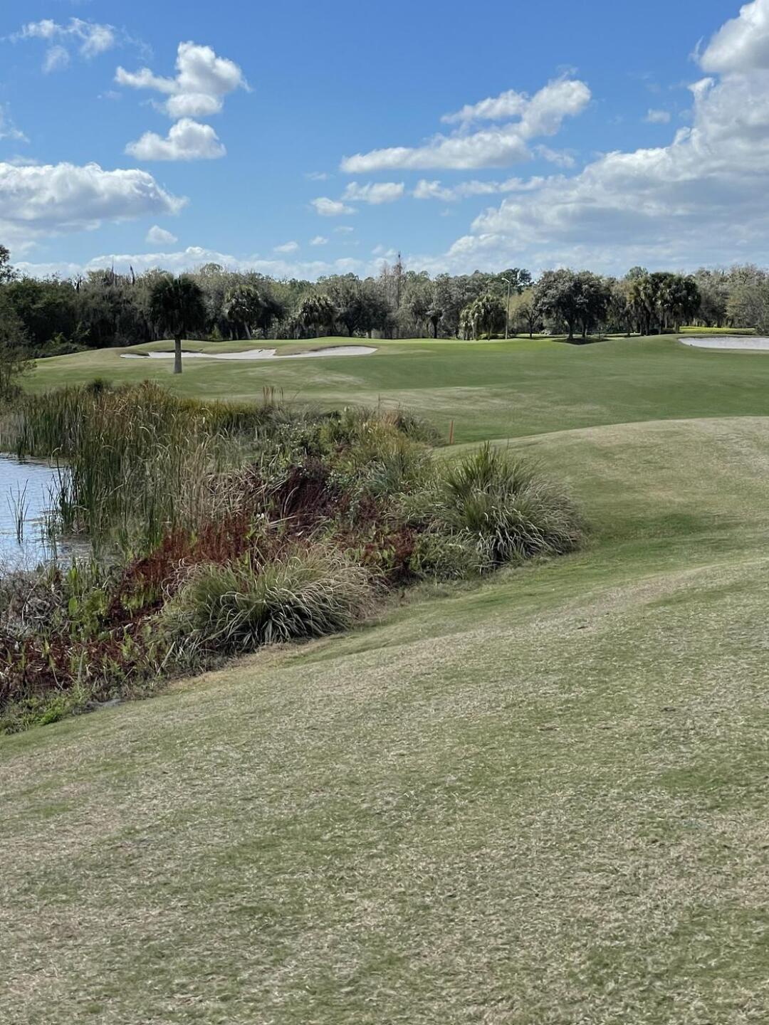 (Photo submitted by u314159379595 on 02/28/2022)