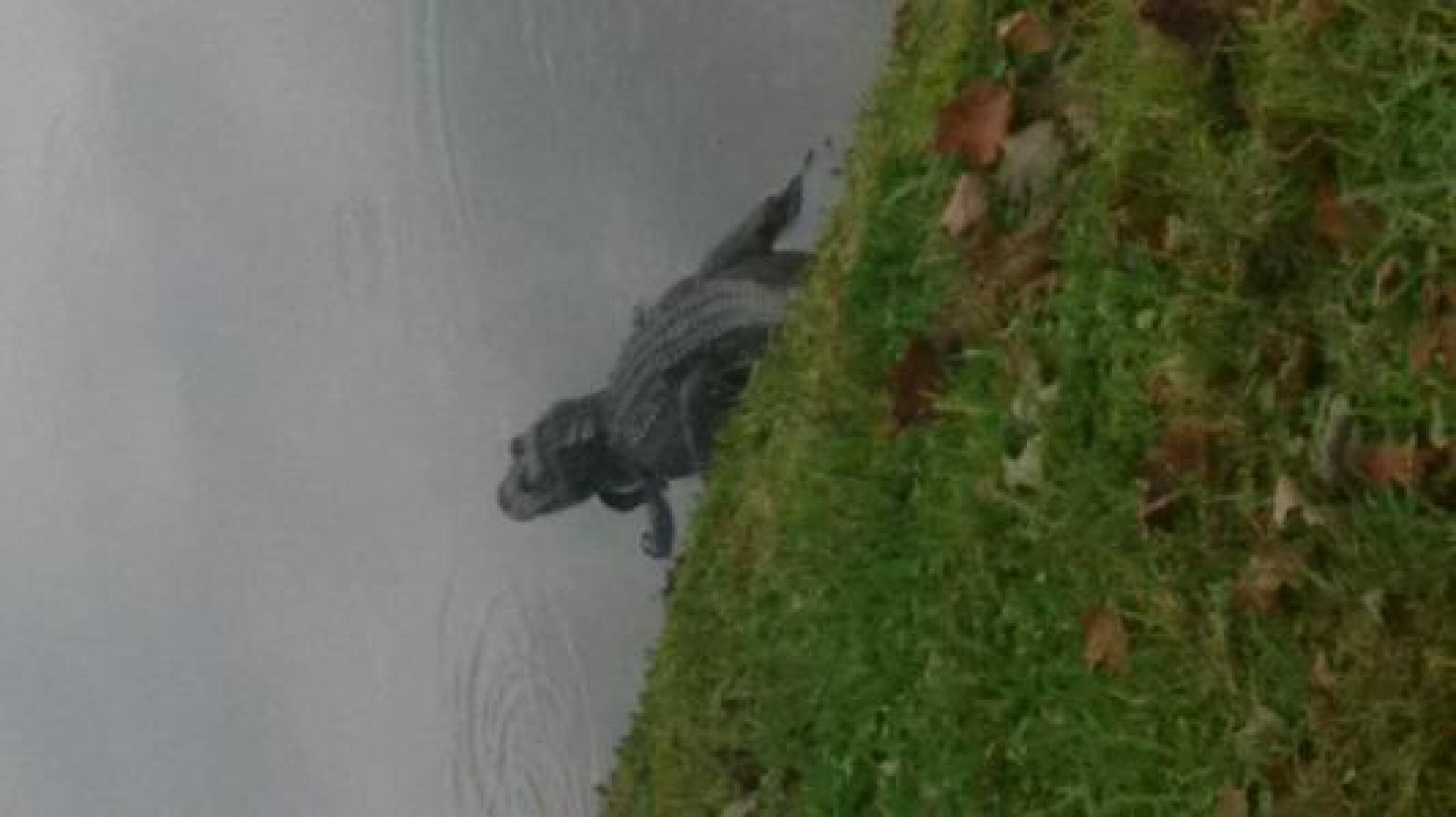 (Photo submitted by wahooiwin on 02/03/2014)