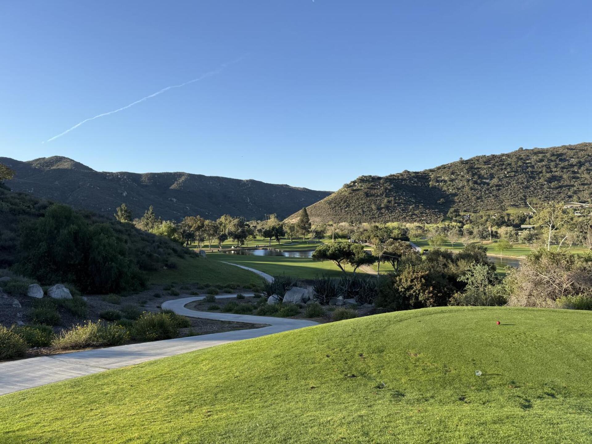 (Photo submitted by u314164028636 on 03/22/2025)