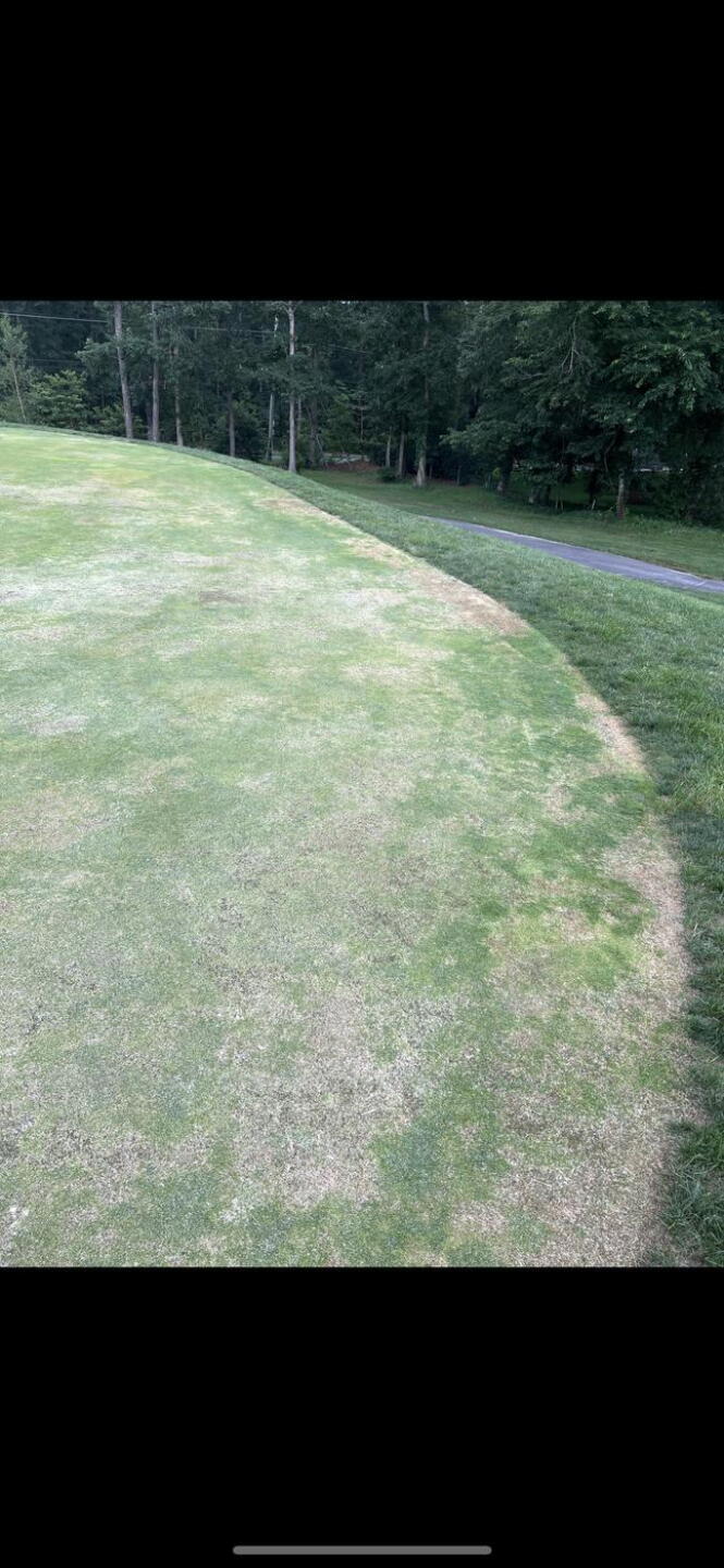 (Photo submitted by jawsgolfstinks69 on 07/22/2025)