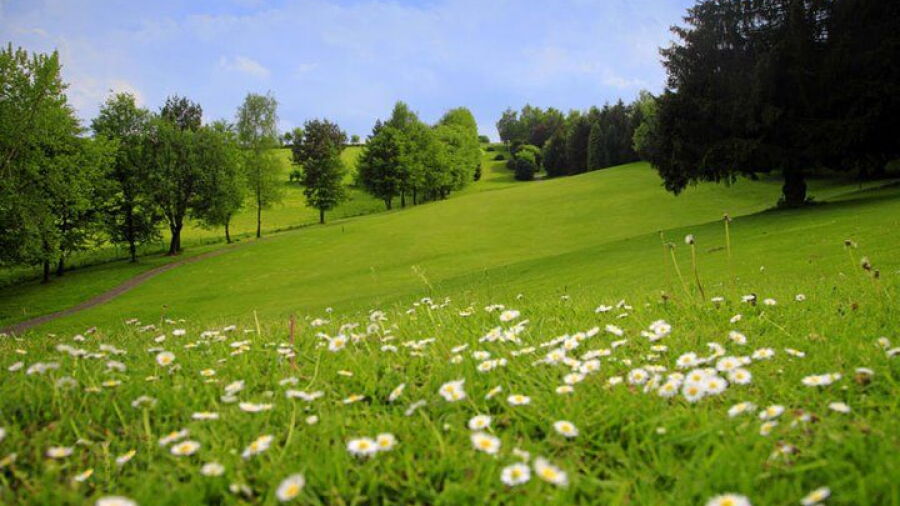 Schloss Georghausen GC: #8