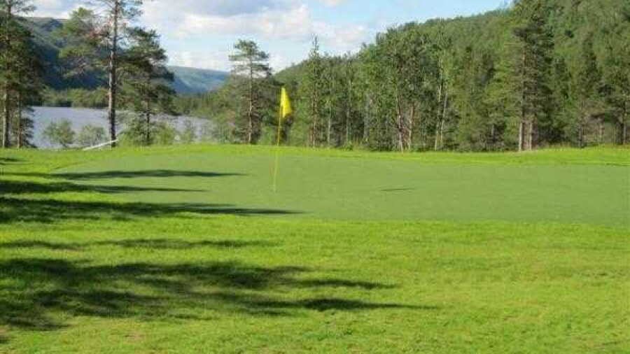 Alta GC