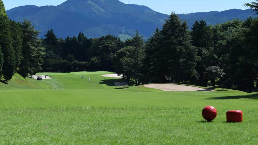 Fujinomiya GC