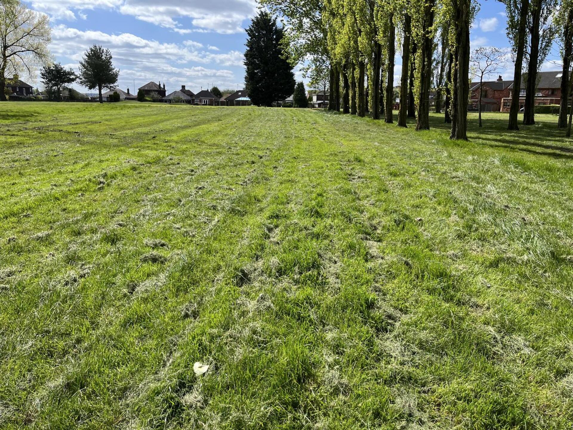 This is standard of all fairways (Photo submitted by John3620 on 04/24/2024)