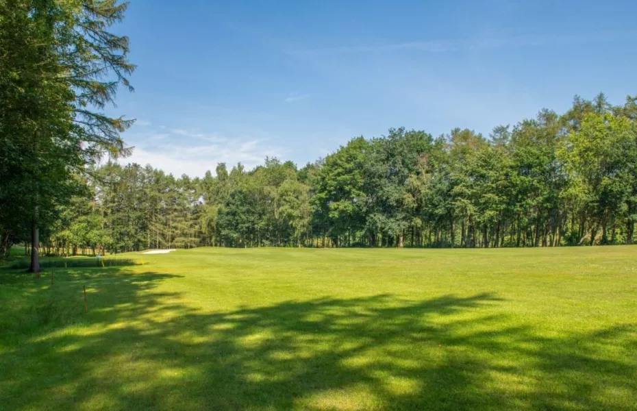 Winge GCC - Fore: #1