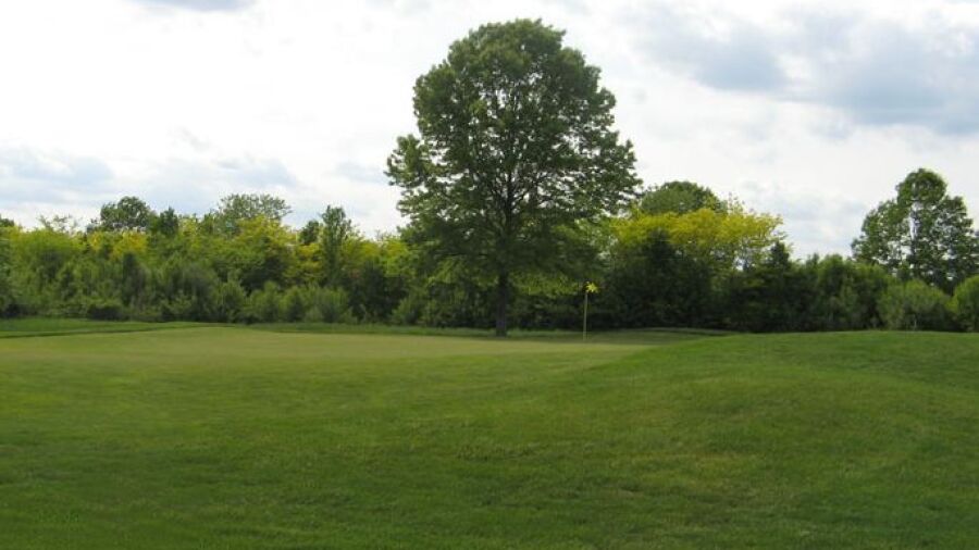 Charleston Springs GC - North: #13