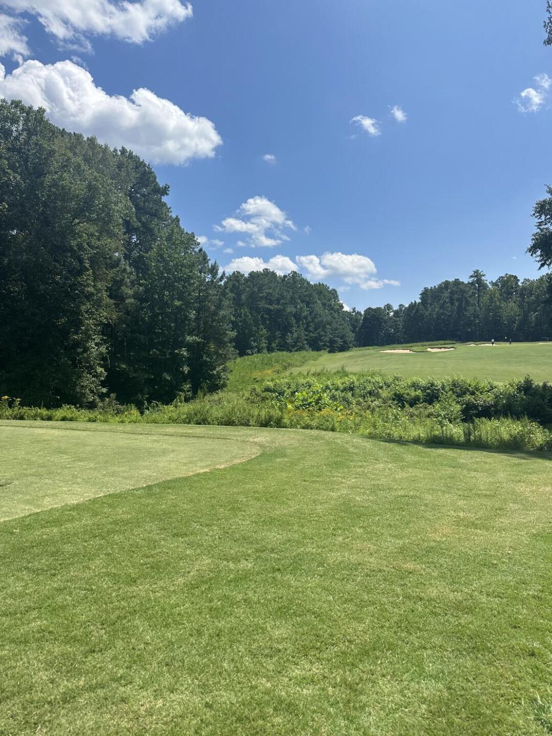 (Photo submitted by pargolfin on 08/09/2023)