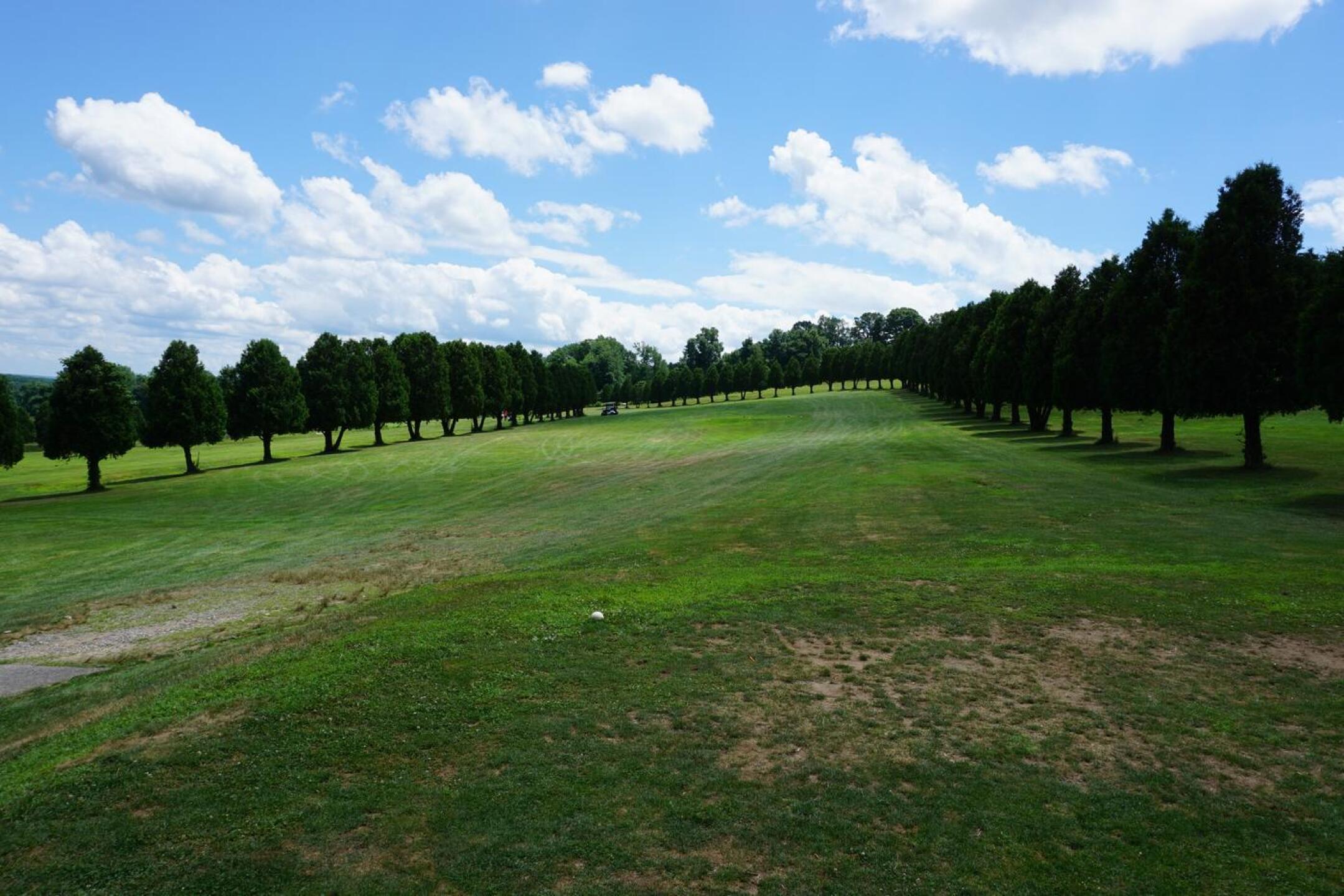 Tee four: 394 yard dogleg-left sweeps downhill, and is lined prominently by these rows of trees. (Photo submitted by AptlyLinked on 07/13/2020)