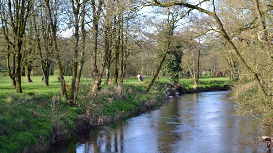 Mitchelstown GC: #15