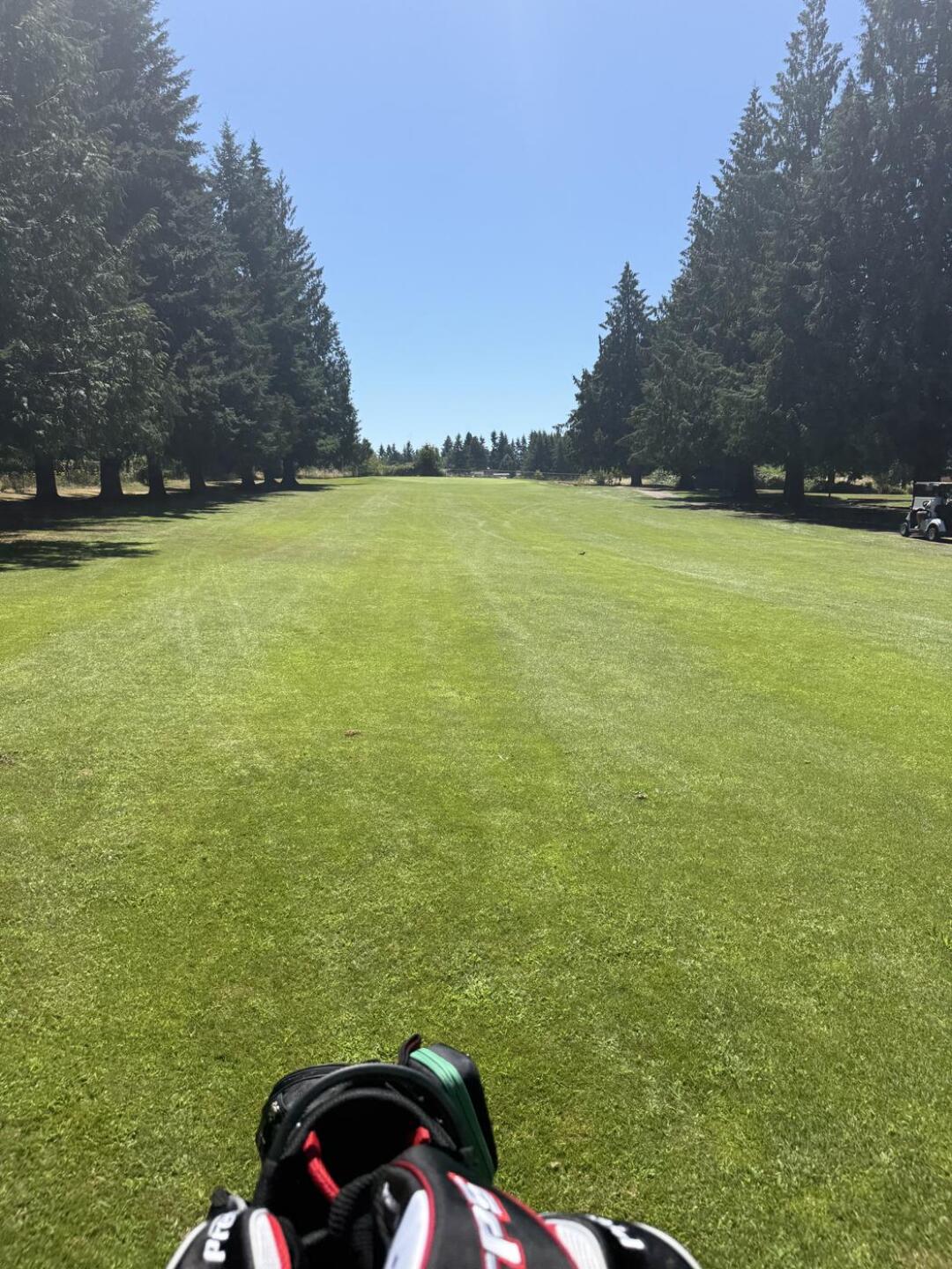 (Photo submitted by Goldfuss424 on 07/16/2025)