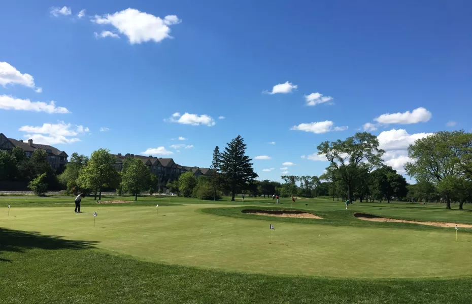 Anetsberger GC: Practice area