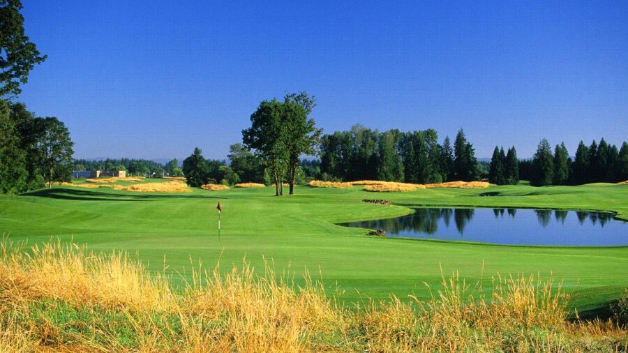 The Reserve Vineyards & GC - North: #17
