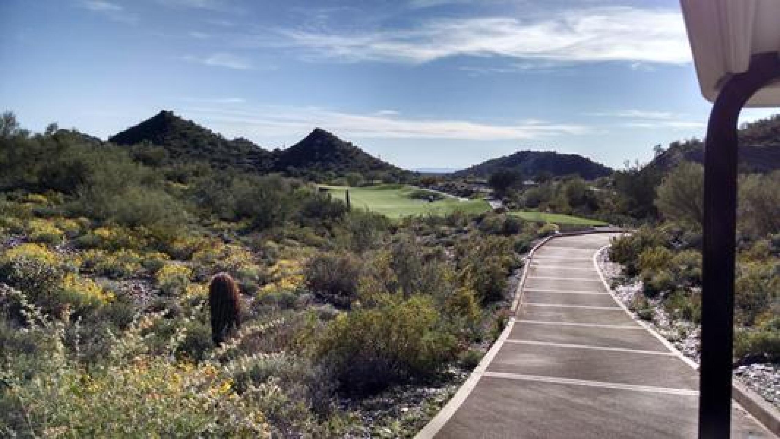 (Photo submitted by JKKnott670 on 03/24/2015)