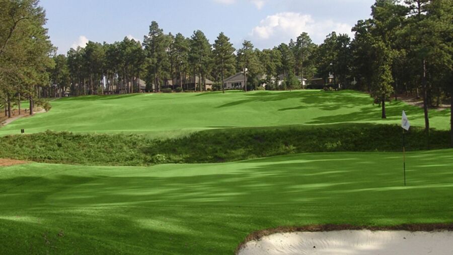 Holly at Pinewild CC