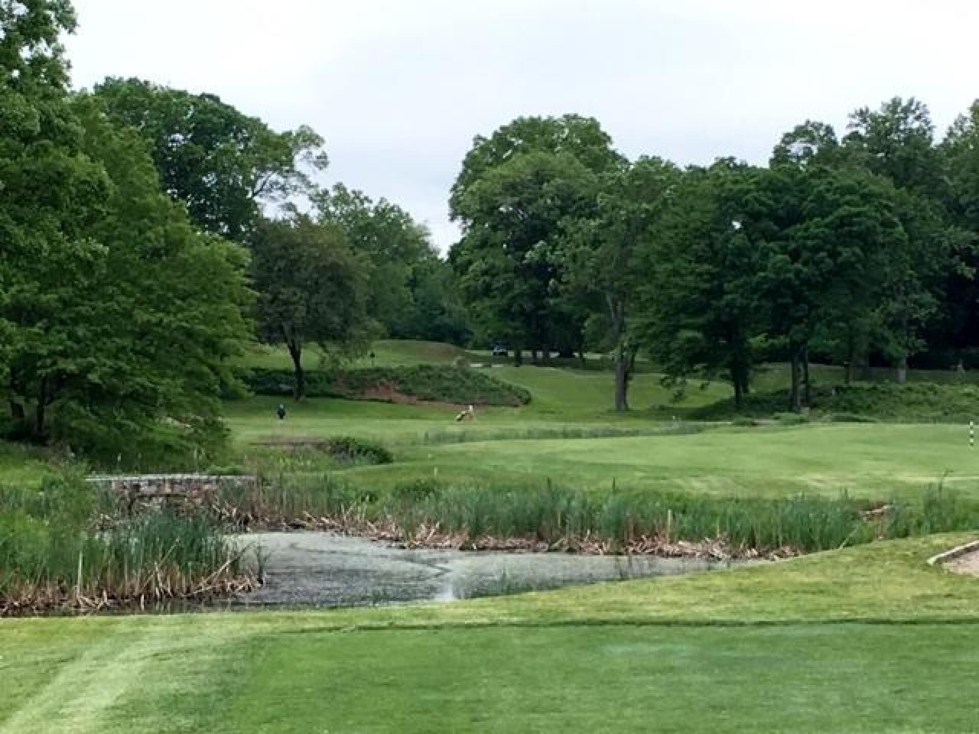 (Photo submitted by LICC on 05/29/2019)