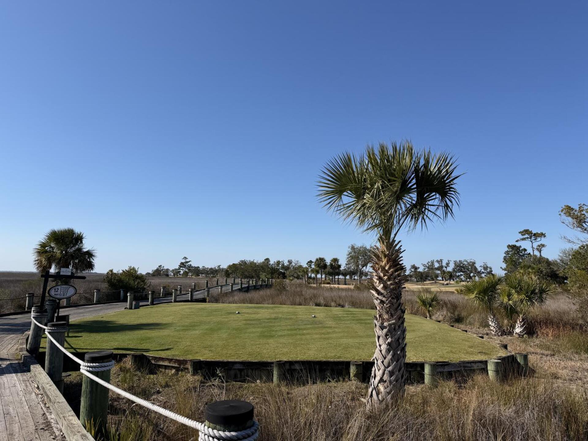 (Photo submitted by joshoaf28 on 02/15/2026)