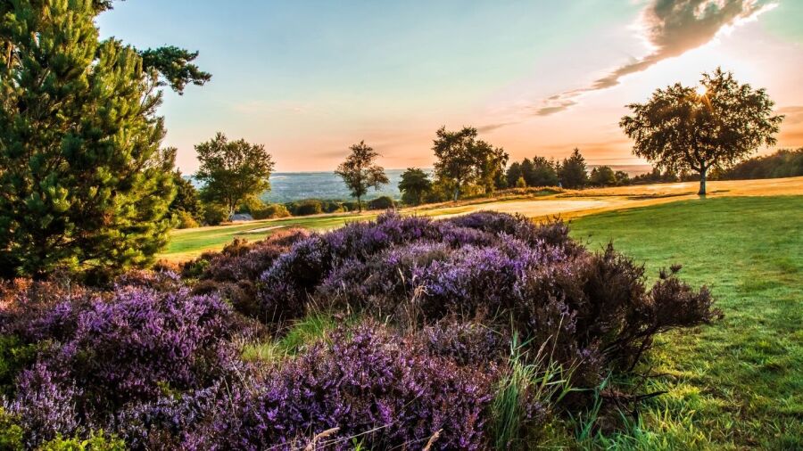 Stanedge GC