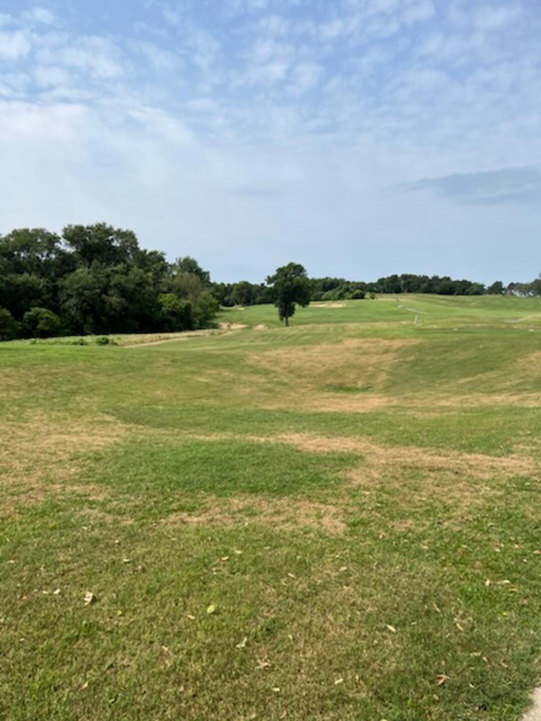 (Photo submitted by ngonzalezavalis on 05/11/2024)