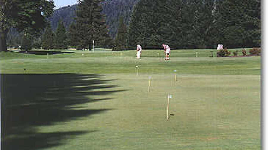 Tokatee Practice Green