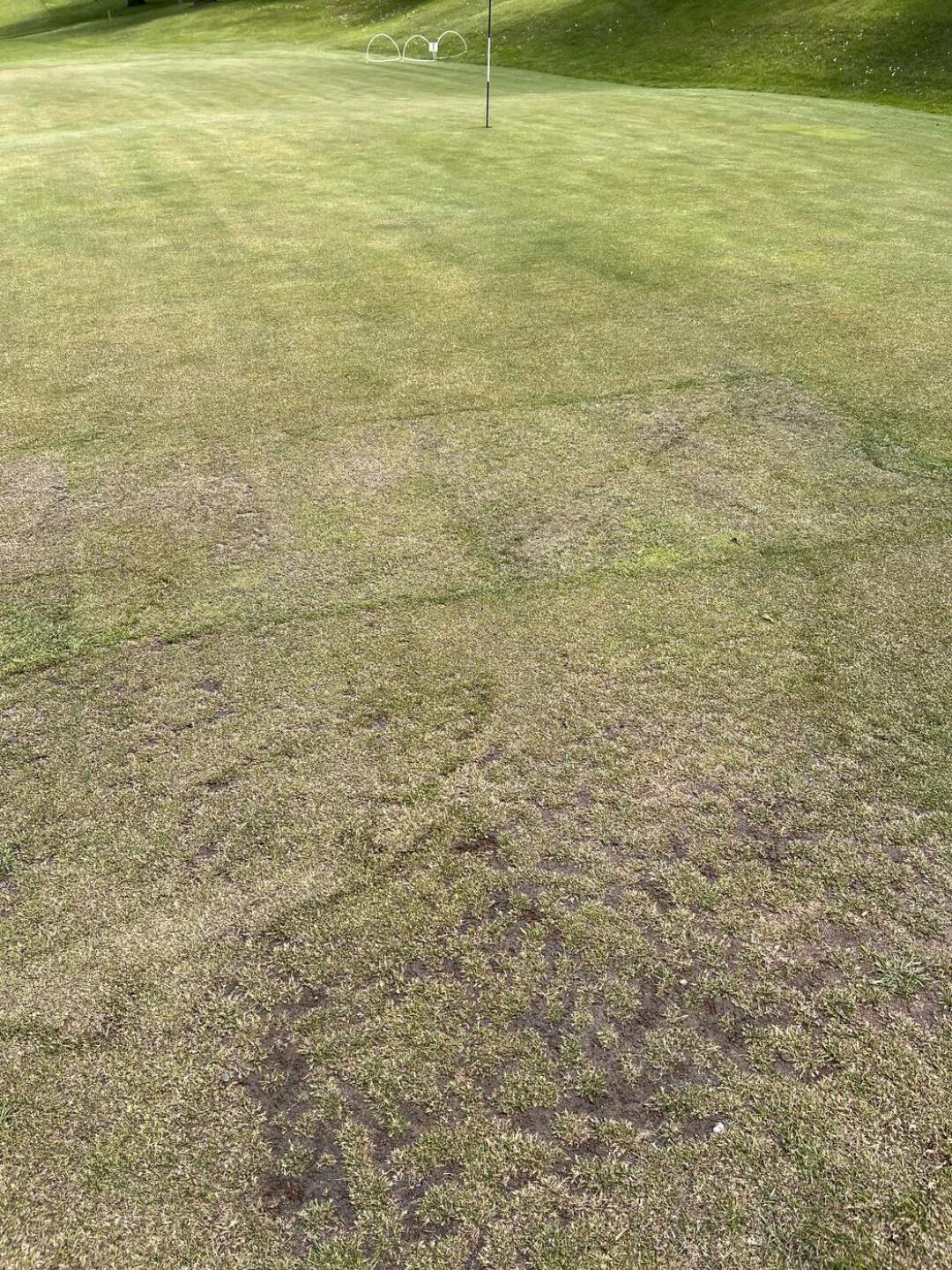 (Photo submitted by TranmereSuperWhite on 06/01/2023)