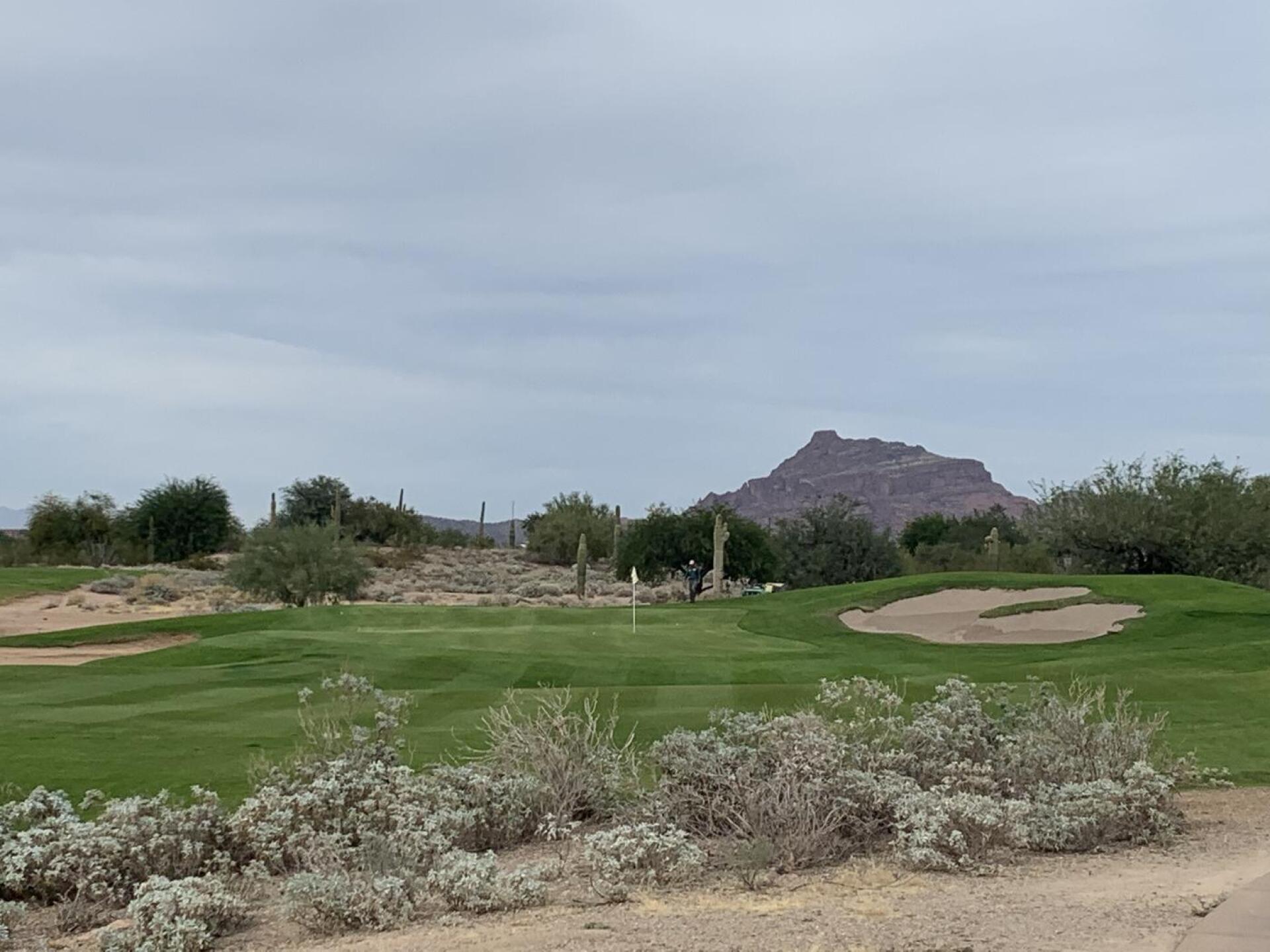 (Photo submitted by buddsnotdudds on 11/17/2021)