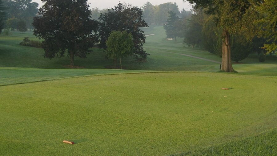 Audubon CC