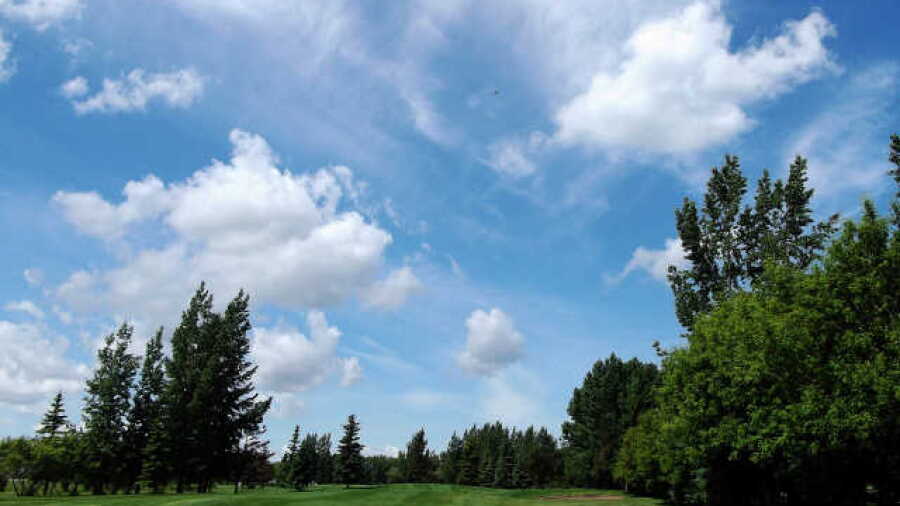 Wynyard GC
