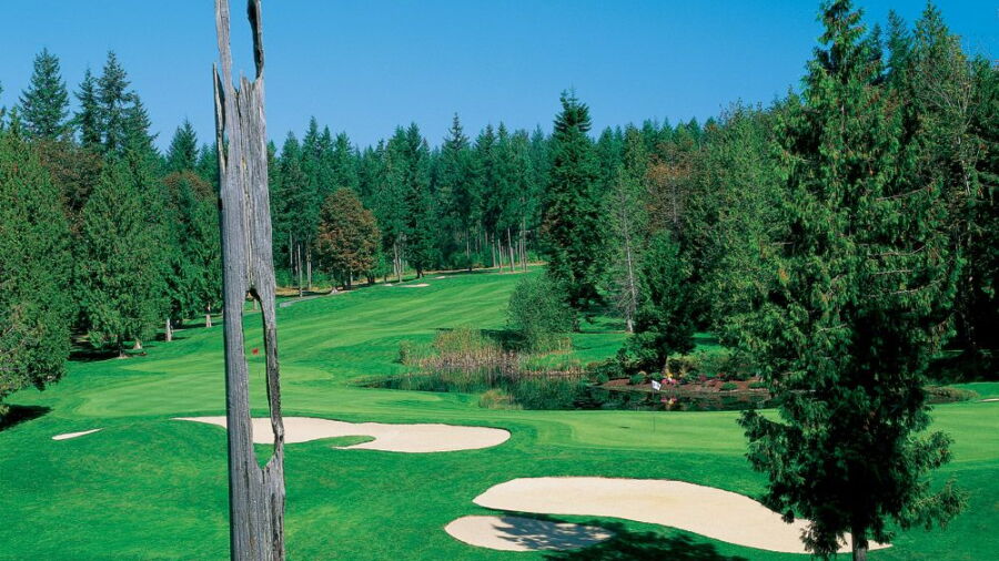 Bear Creek CC: #6