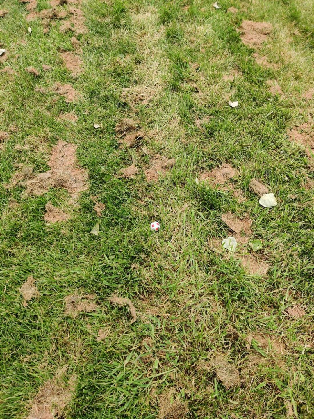 (Photo submitted by Carljr83 on 05/11/2024)