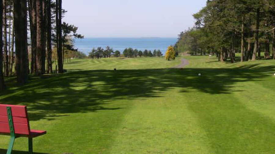 Gallery GC: #11
