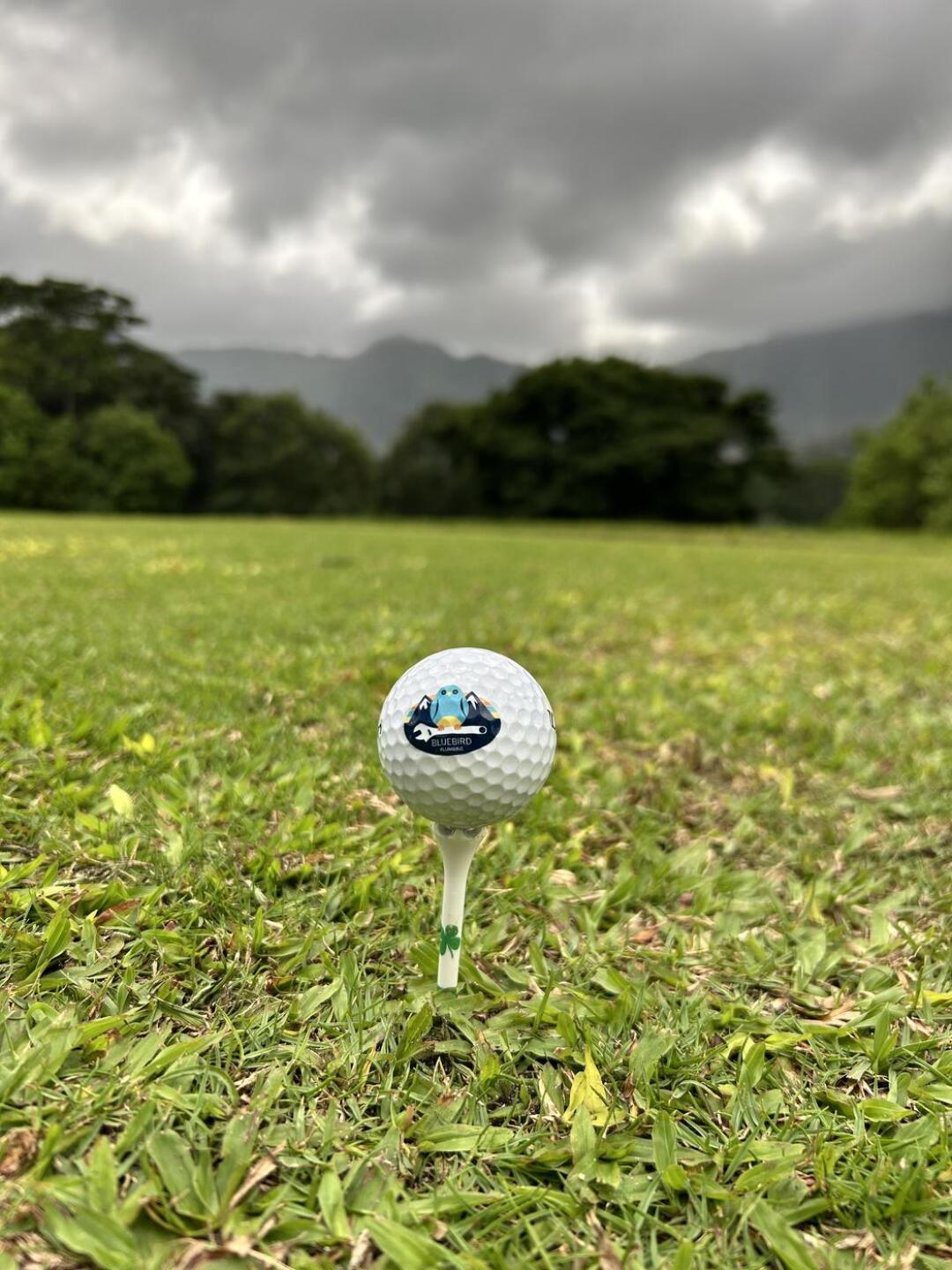 (Photo submitted by obi123 on 03/05/2025)