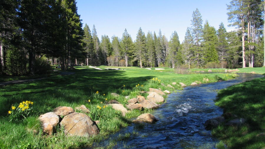 Tahoe Donner GC: #18