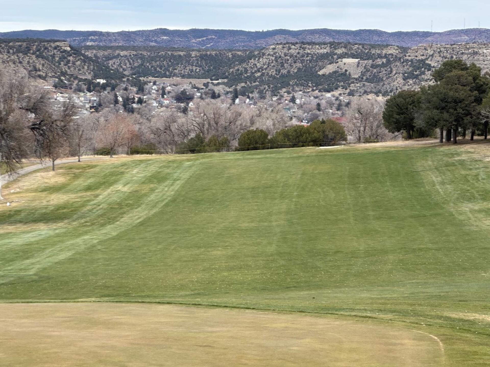 (Photo submitted by u314164680650 on 11/29/2025)